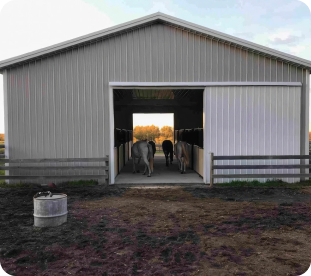 Horse Barns