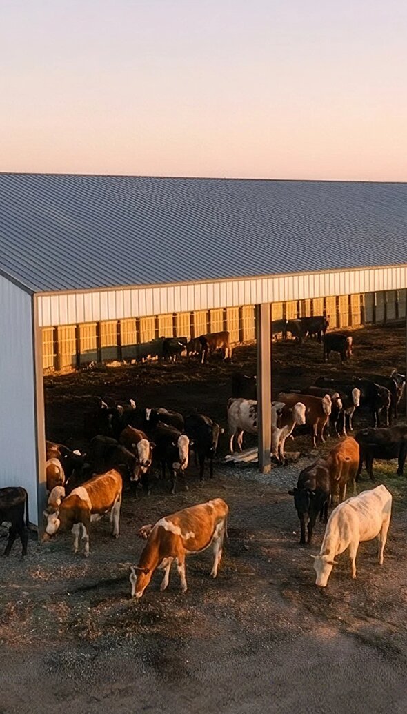 Livestock
