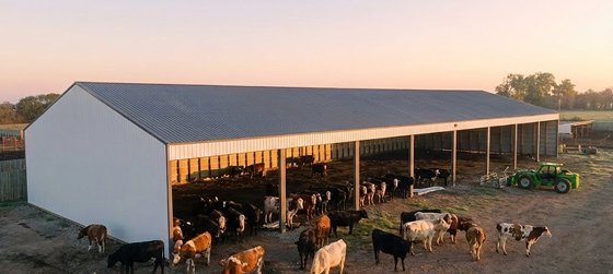 https://1432.prufs.ca/wp-content/uploads/2026/09/livestock.jpg